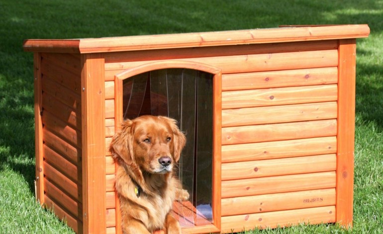 Come costruire una cuccia per cane in 