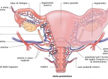 Quali sono sintomi tumore all'utero