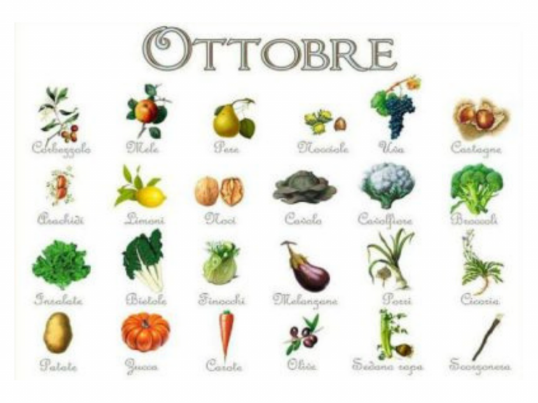 Dieta di ottobre