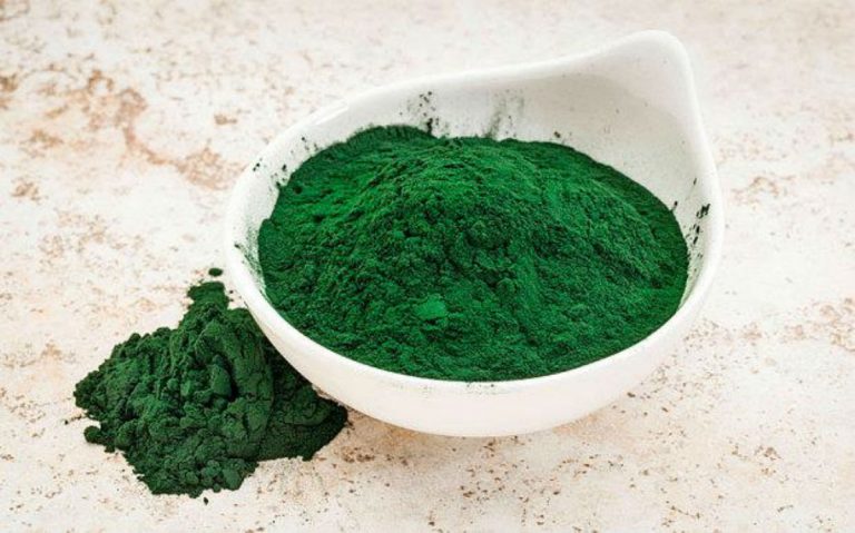 alga spirulina