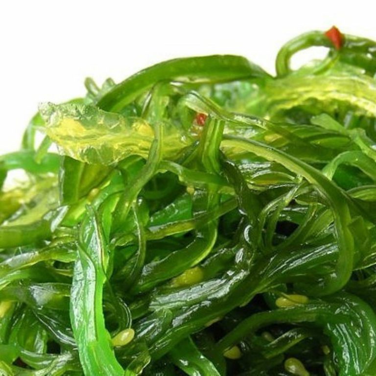 alga wakame