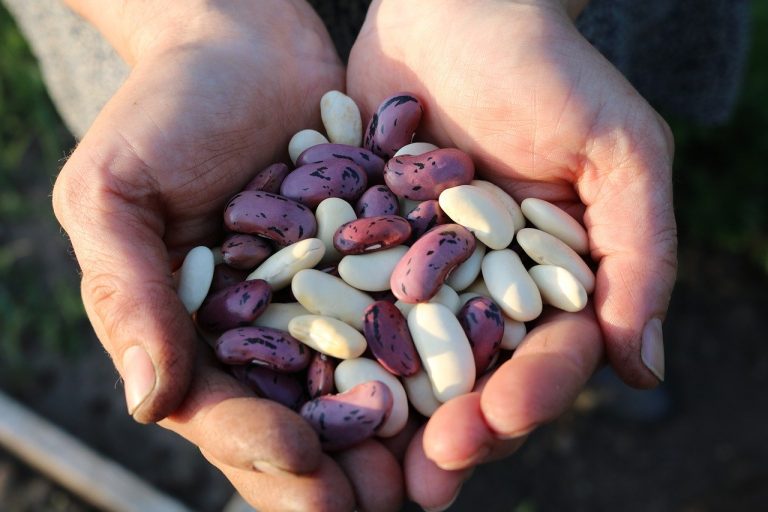 dieta con magnesio potassio