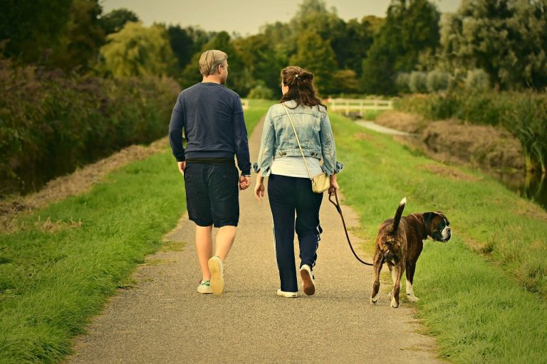 dimagrire camminando con il cane