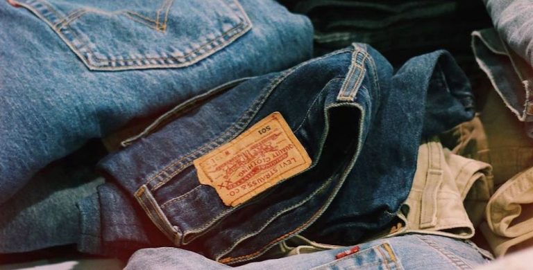 chi era levi strauss