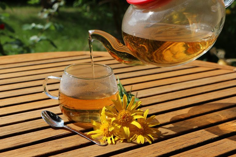 tisane per ogni momento della giornata