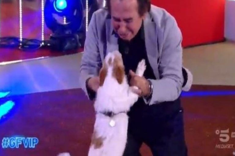 gf vip giucas casella cane