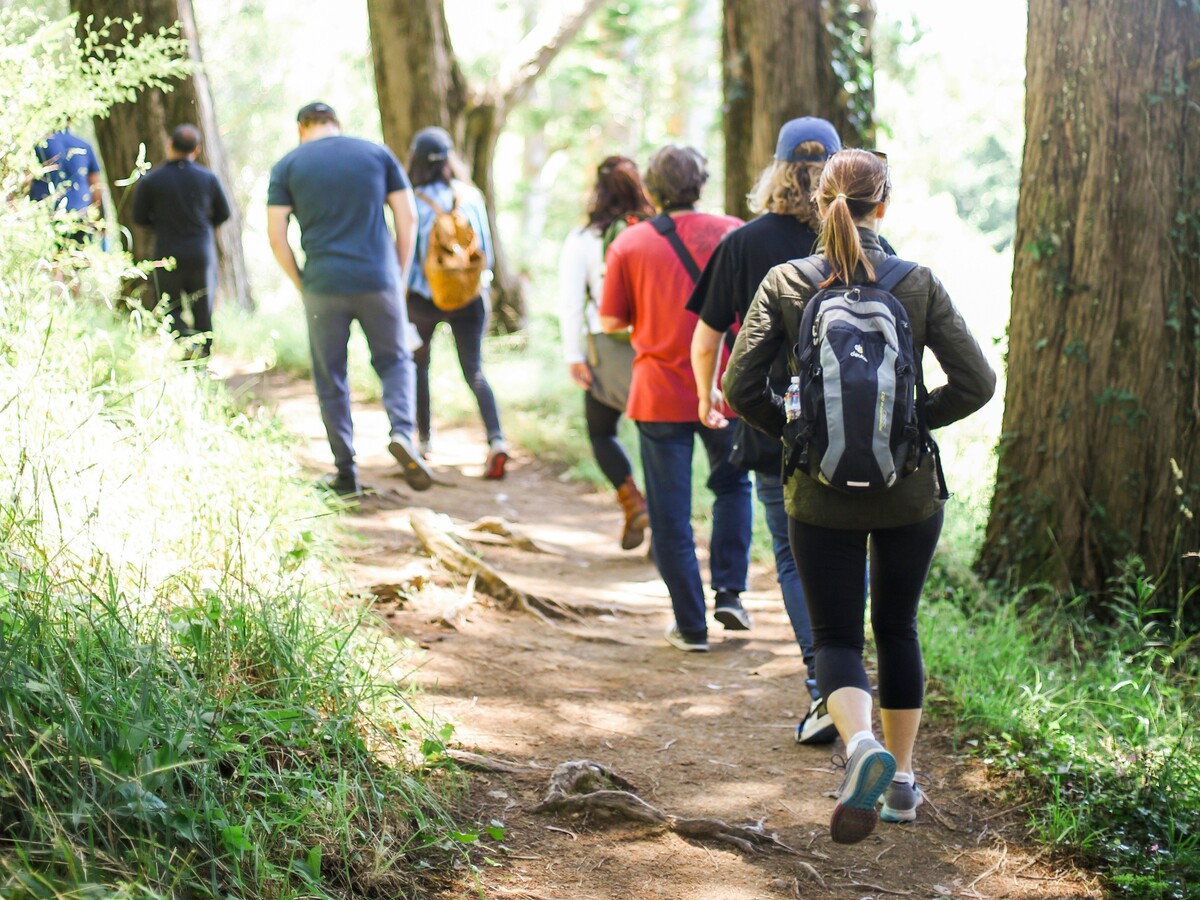 Camminare fa bene: benefici e consigli