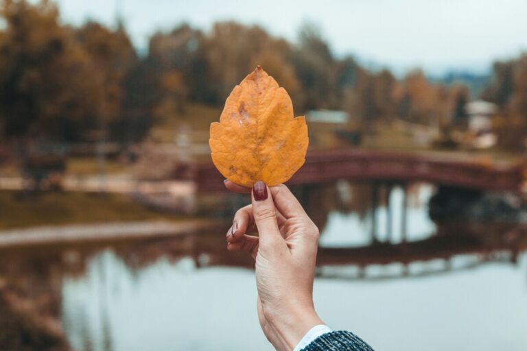 Unghie al caramello: ecco la manicure dell'autunno 2024